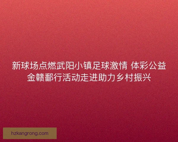 新球场点燃武阳小镇足球激情 体彩公益金赣鄱行活动走进助力乡村振兴
